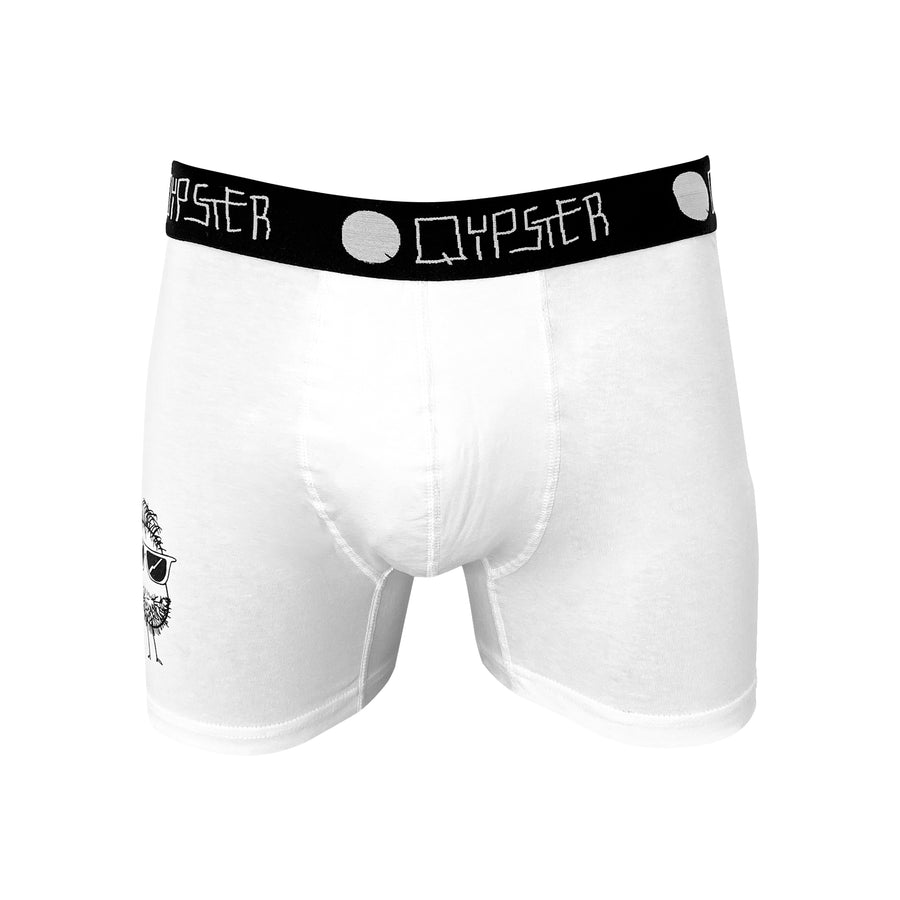 Beard Boxer Briefs